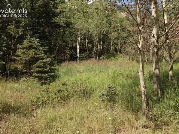 208 Coffee Pot Rd, Manitou Springs, CO 80829