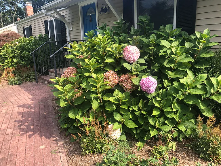 30 Tulip Ave — Photo 44