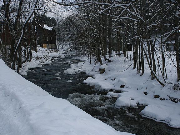 Stream Across Rd From House