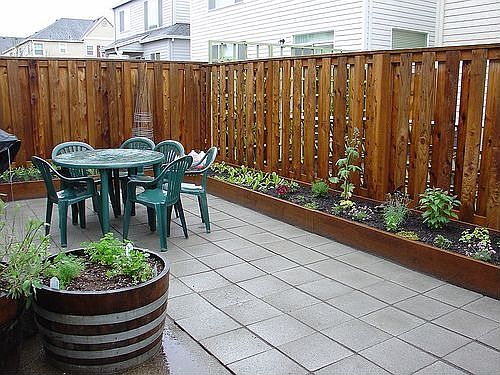 Back yard garden