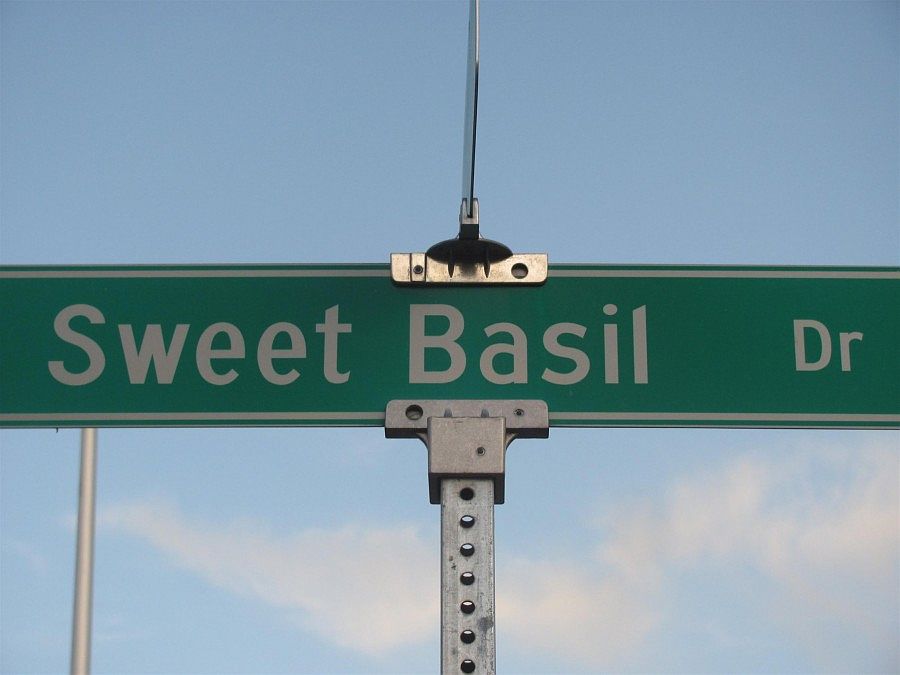 2nd image of 2822 Sweet Basil Dr
