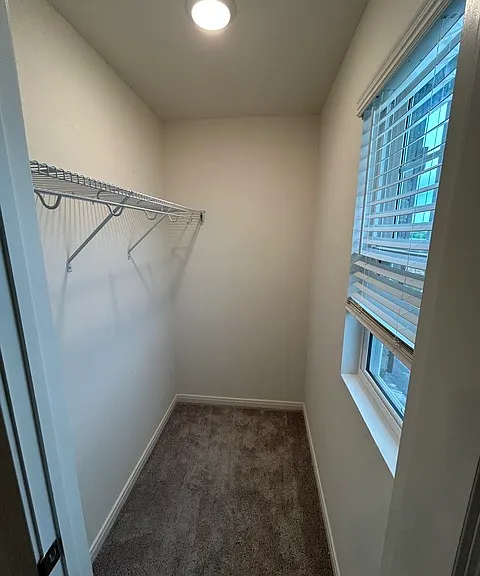 7404 Cottontail Clf — Photo 11