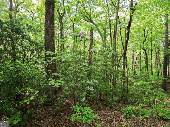 0 Amicalola Dr, Dawsonville, GA 30534