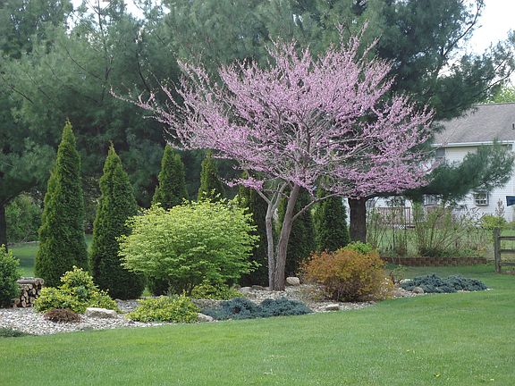Beautifully landscaped
