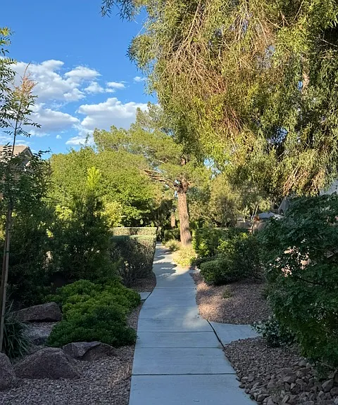 10004 Camino Loma Verde Ave — Photo 34