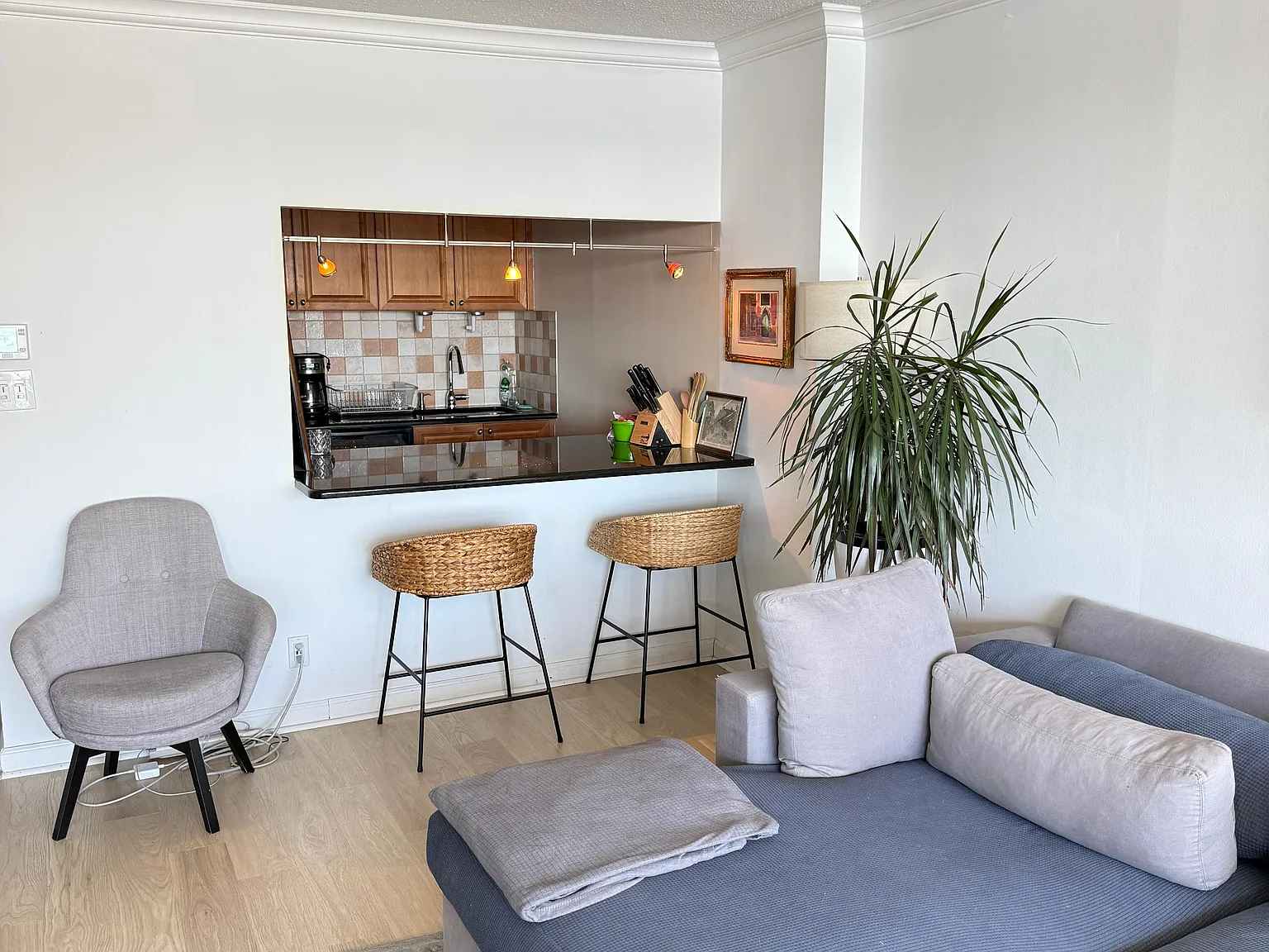 2 bed, 1337 sqft, $4,500 — Photo 3