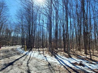 913 Softwood Trl, Frederic, MI, 49733
