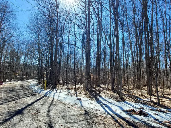 913 Softwood Trl, Frederic, MI 49733