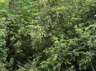 6 Sapphire Post Office Rd, Sapphire, NC 28774