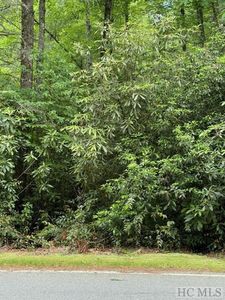 Lot 6 Sapphire Post Office Road, Sapphire, NC, 28774