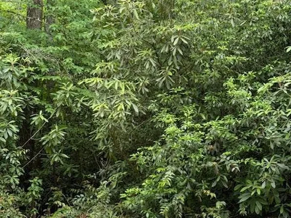 Lot 6 Sapphire Post Office Road, Sapphire, NC 28774