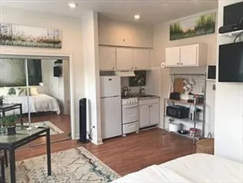 Studio, 425 sqft, $2,900 — Photo 3