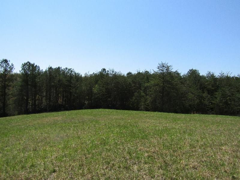1st image of 864AC Nichol Creek Dr