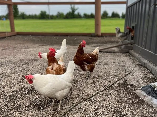 1390 N 550th Rd, Baldwin City, KS 66006
