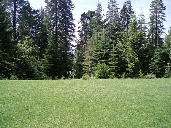 Scenic View