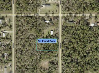 10225 McMahon Ave, Hastings, FL 32145