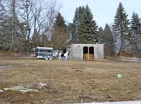 Bring the horses too