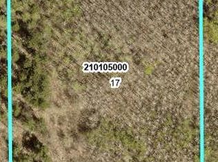 10 Bog Lake Trl, Osage, MN 56570