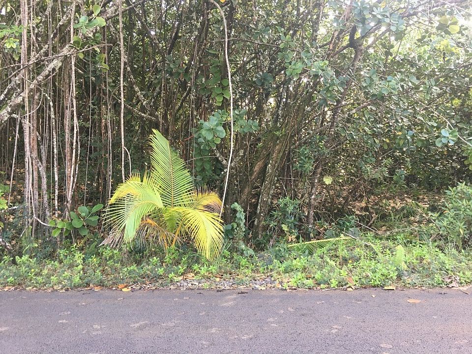 1st image of 1st Avenue Akala Lot 2923