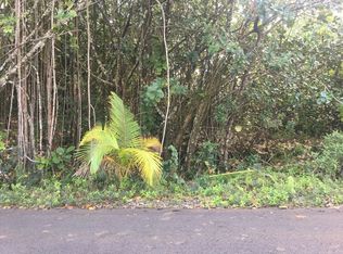 1st Avenue Akala LOT 2923, Keaau, HI 96749