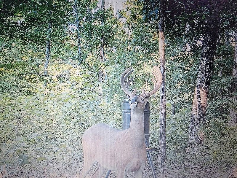 1st image of 275 Preston Baggett Rd