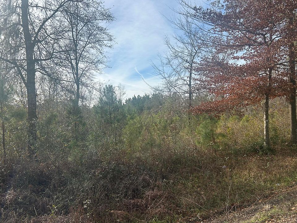 2nd image of 1 Old Jacksonboro Rd