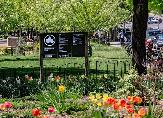 Rented by MNS | media 42