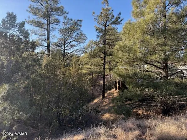2561 W Rogers Dr, Show Low, AZ 85901