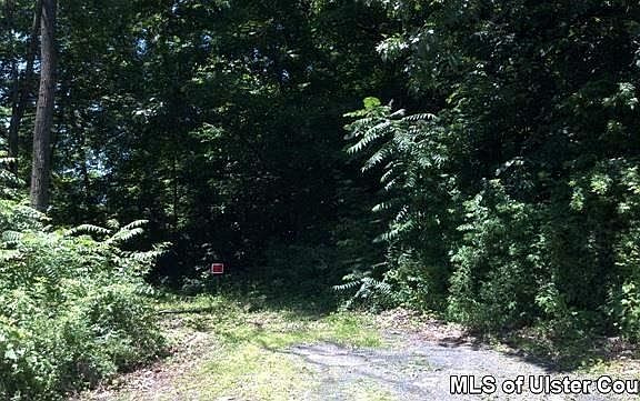 4th image of 311-317 1st Ave