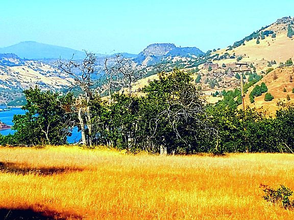 4th image of Mountain Ave