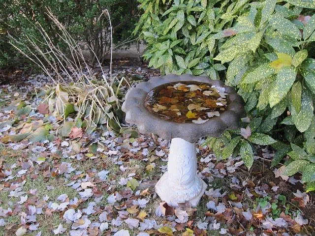 5806 McKinley St #A — Photo 29