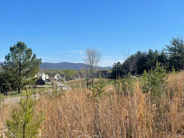 69 Barrow Hills Dr, Huddleston, VA 24104