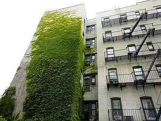 Rented by New York Residence