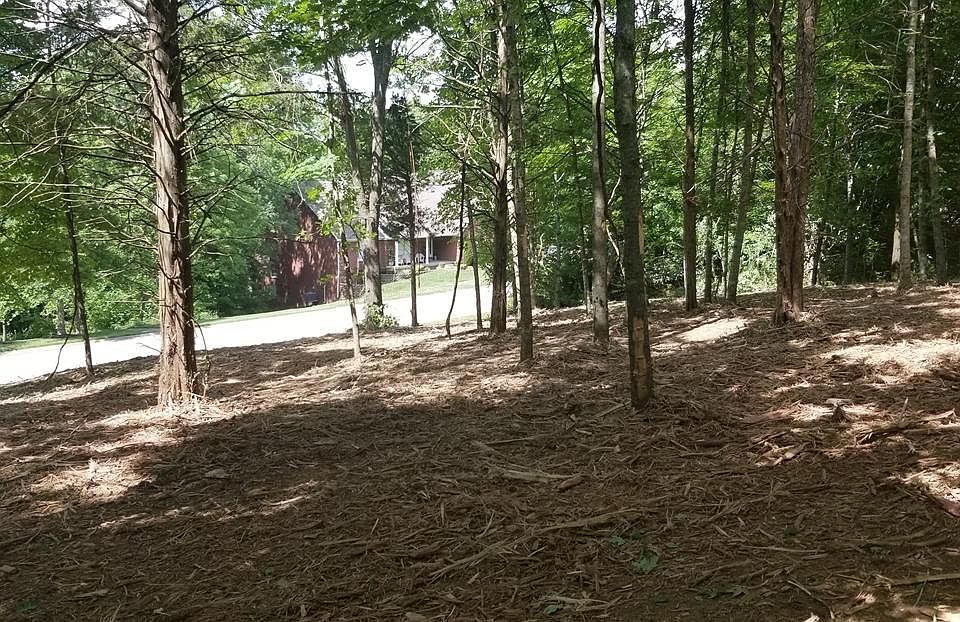 2nd image of 96B Early Wyne Dr
