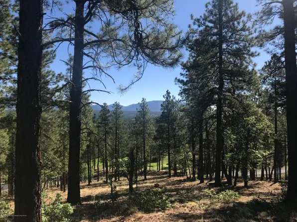 4160 S Big Sky Rd, Flagstaff, AZ 86005