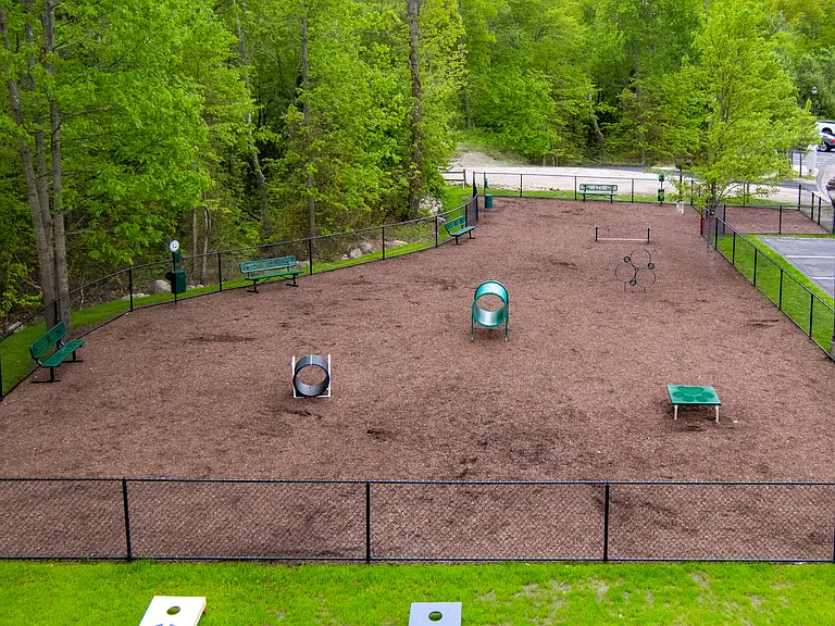 Dog Park