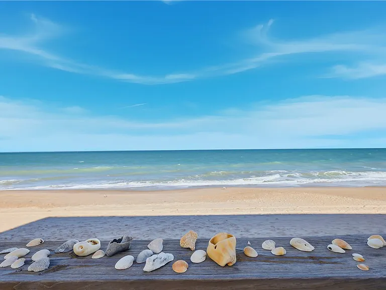 5000 Highway A1A #320 — Photo 30