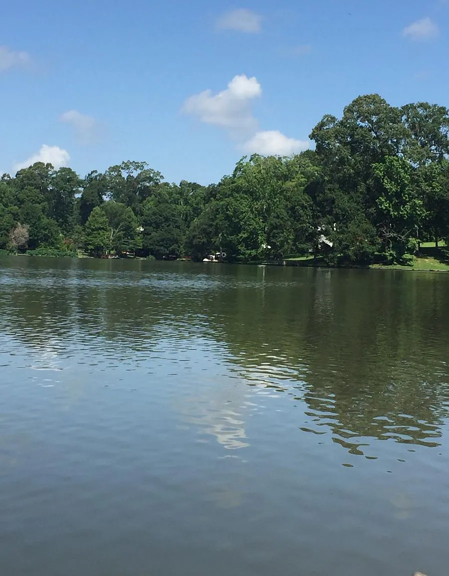 3 bed, 1500 sqft, $2,450 — Photo 4