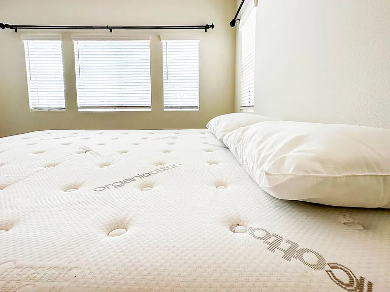 26318 Desert Rose Ln — Photo 22