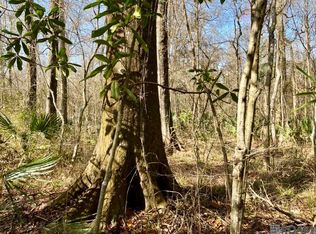 7913 Lower Zachary Rd, Zachary, LA 70791