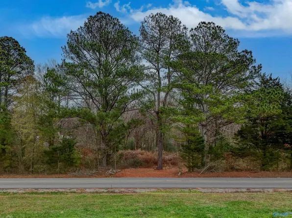 5.5 County Road 1224, Vinemont, AL 35179