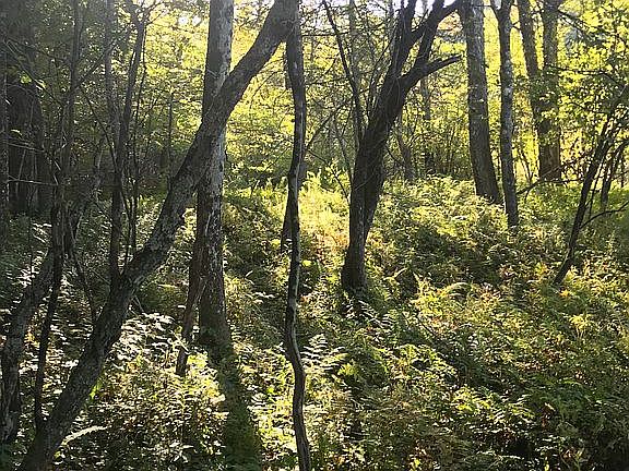 2nd image of 1006 County Highway 26