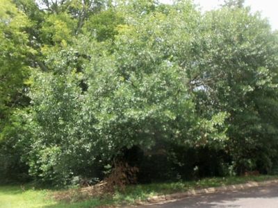 3411 Larkspur Ln, Kilgore, TX, 75662