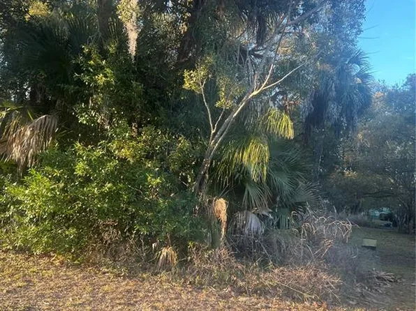 E Jackson Ave, Mount Dora, FL 32757