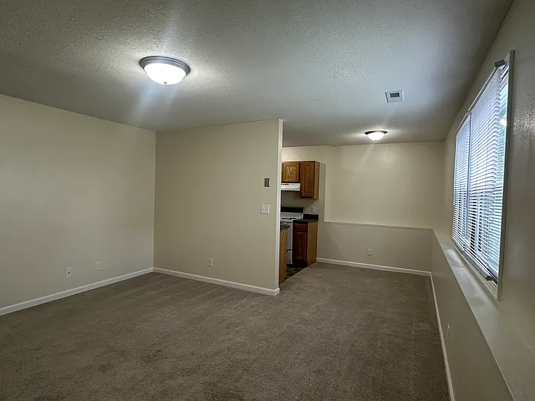 424 W Dodson St — Photo 3