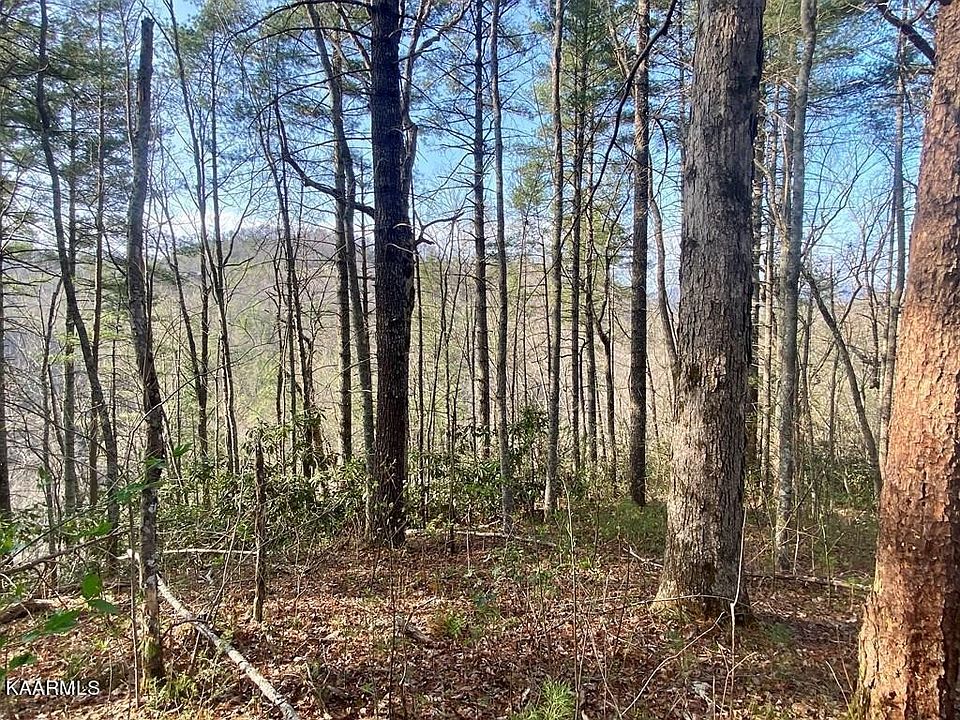 1st image of 0 Whetstone Rd Lot 96