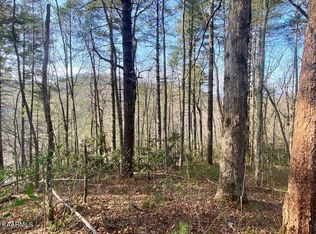 0 Whetstone Rd LOT 96, Sevierville, TN 37862