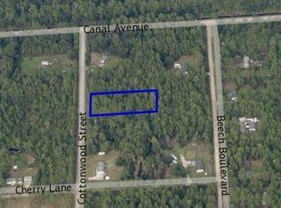 1111 Cottonwood St, Bunnell, FL 32110