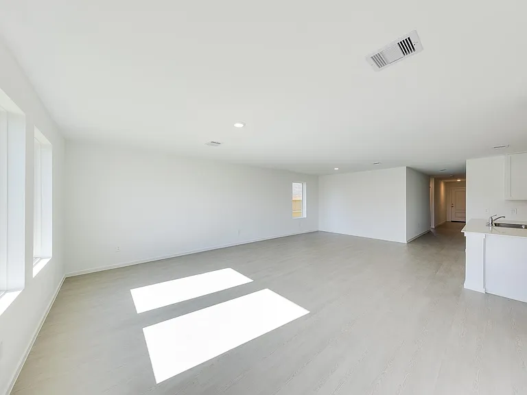 29043 Pearl Barley Way — Photo 10