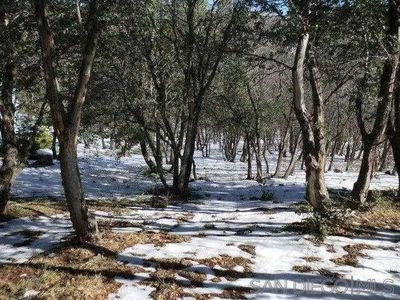0 Highland Dr #266, Julian, CA, 92036